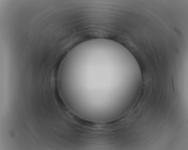 X0000114410080200910161041