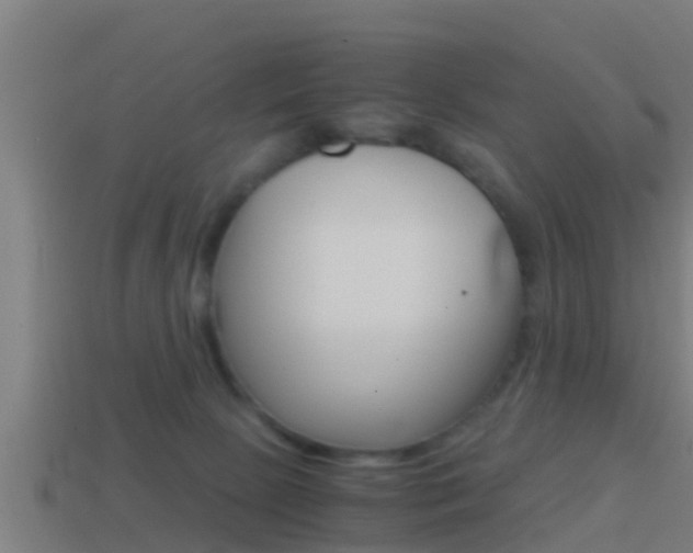 X0000114410081200910161041