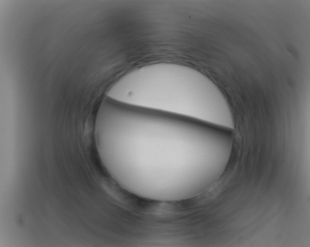 X0000114410082200910161041