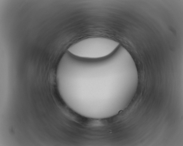 X0000114410083200910161041
