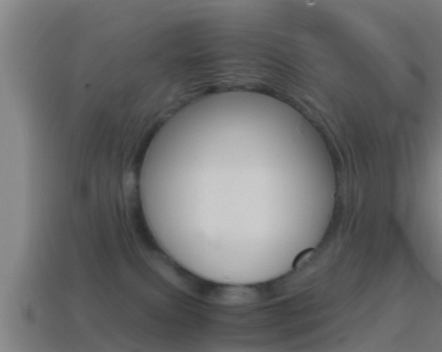 X0000114410087200910161041