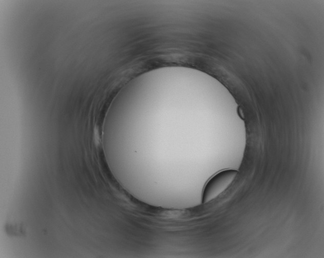X0000114410089200910161041