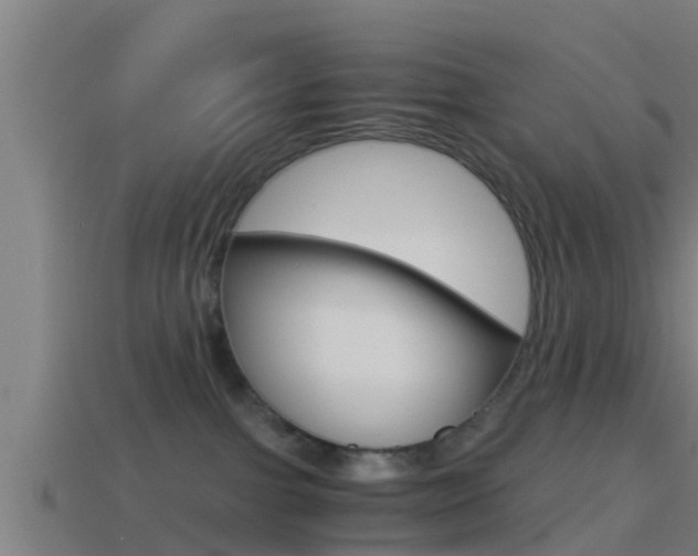 X0000114410091200910161041