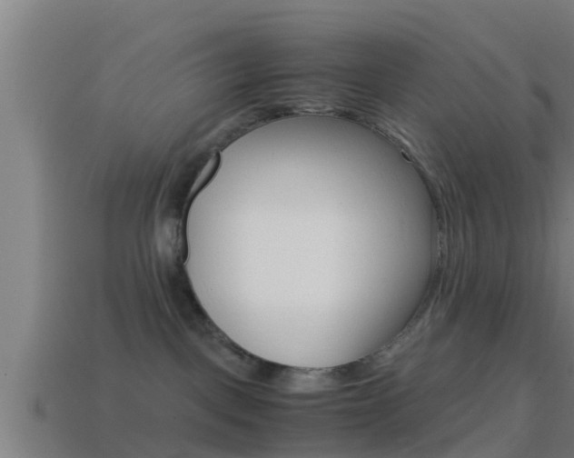 X0000114410093200910161041
