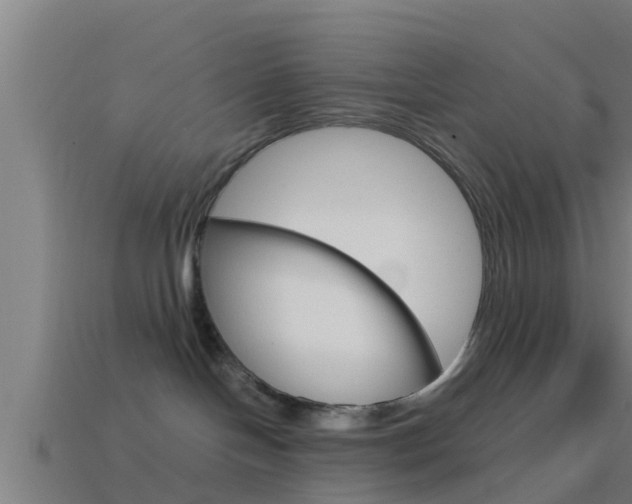 X0000114410094200910161041