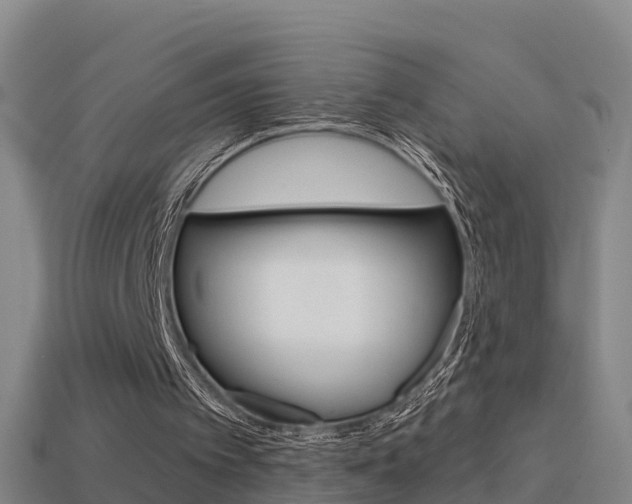 X0000114410097200910161040