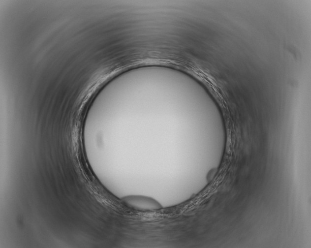 X0000114410098200910161040