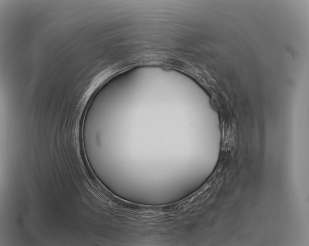 X0000114410099200910161040