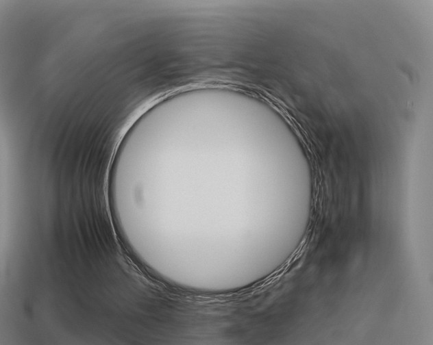 X0000114410100200910161040