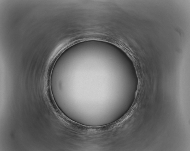 X0000114410101200910161040
