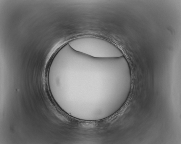 X0000114410102200910161040