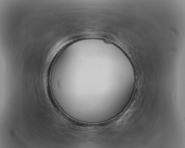 X0000114410103200910161040