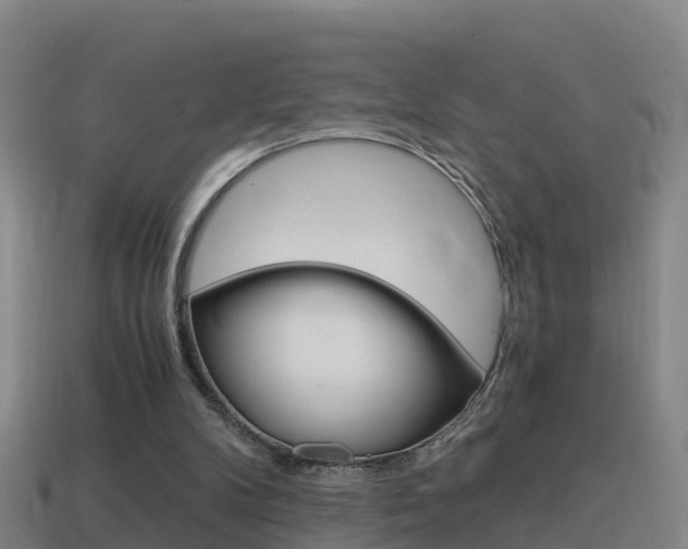 X0000114410104200910161040