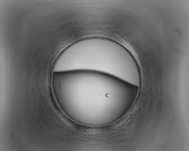 X0000114410105200910161040