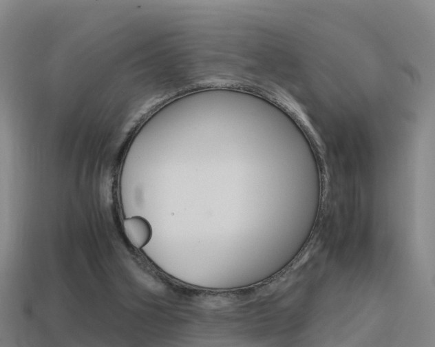 X0000114410106200910161040