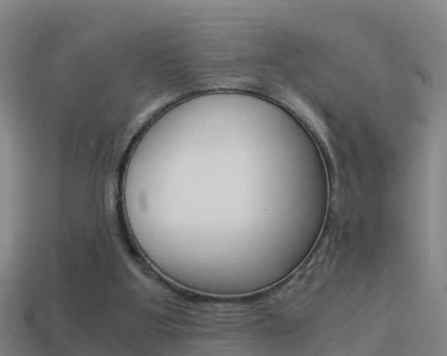 X0000114410107200910161040