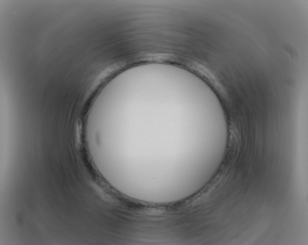 X0000114410110200910161040