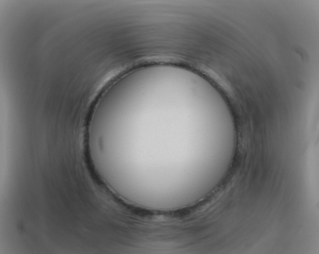 X0000114410111200910161040