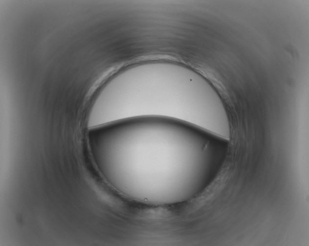 X0000114410112200910161040