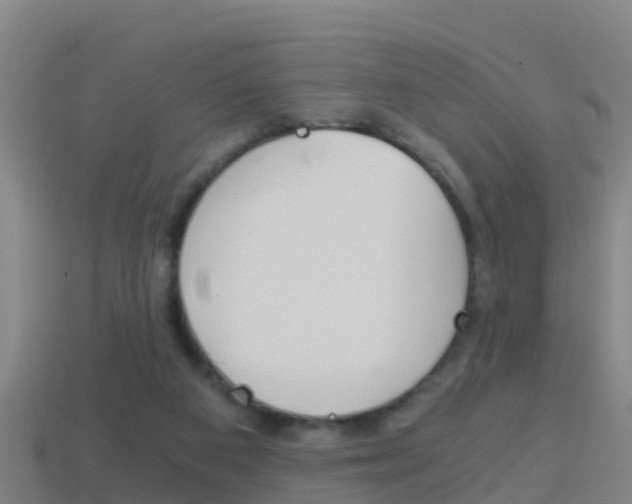 X0000114410113200910161040