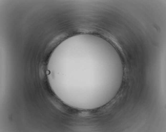 X0000114410114200910161040