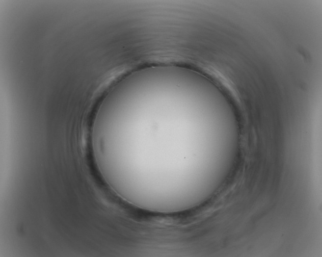 X0000114410115200910161040