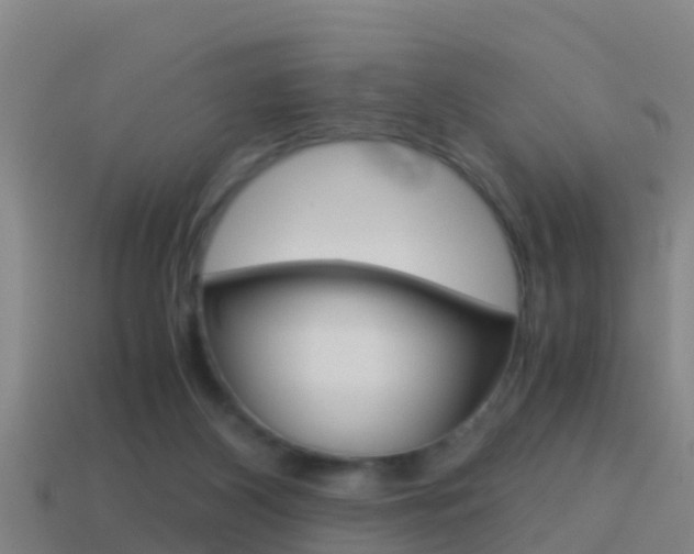 X0000114410116200910161040