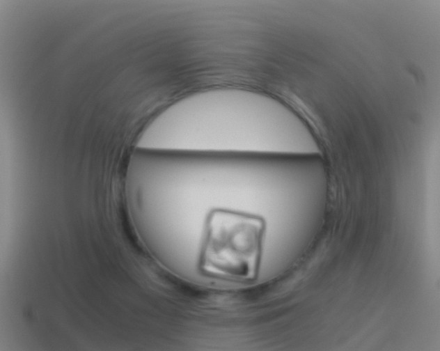 X0000114410117200910161040