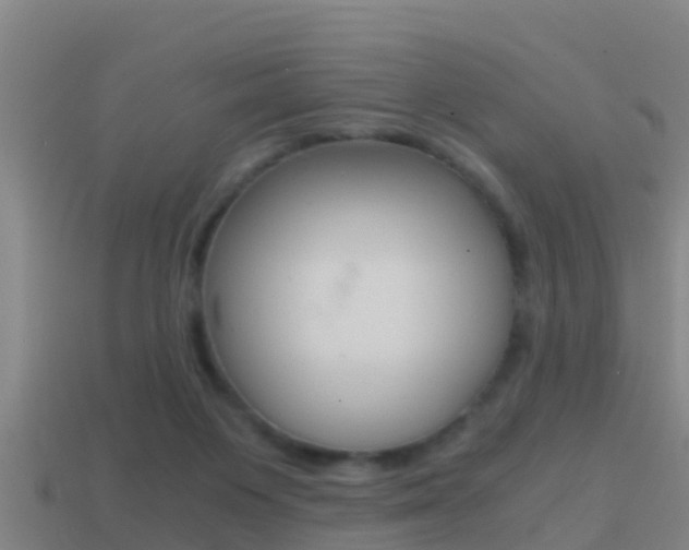 X0000114410119200910161040