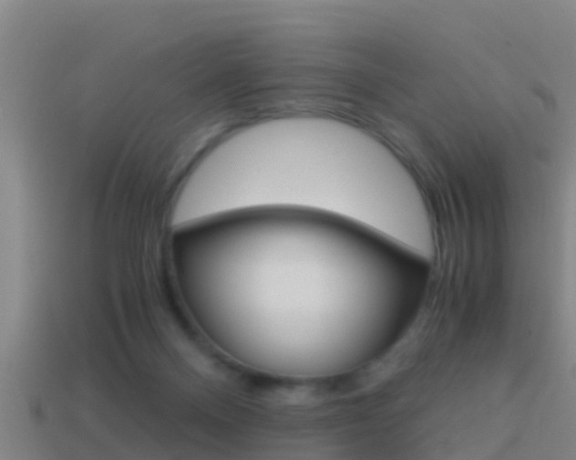 X0000114410120200910161040