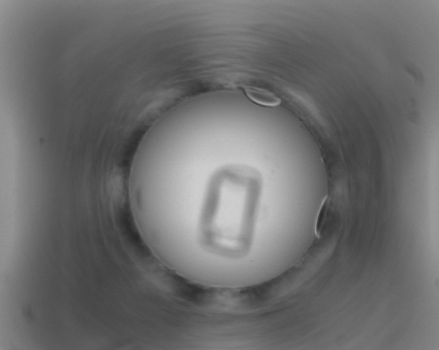X0000114410121200910161040