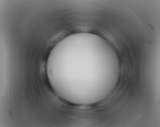 X0000114410122200910161040