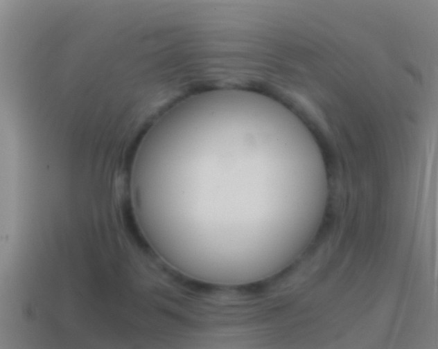 X0000114410123200910161040