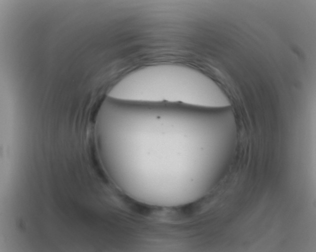 X0000114410125200910161040