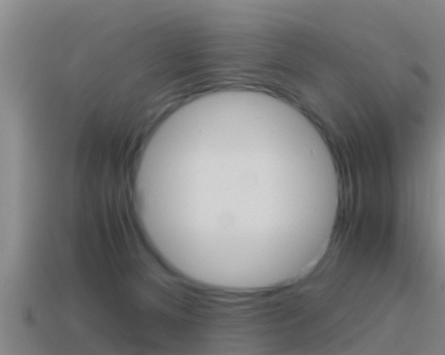 X0000114410128200910161040