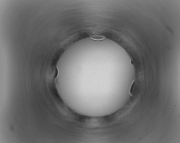 X0000114410129200910161040