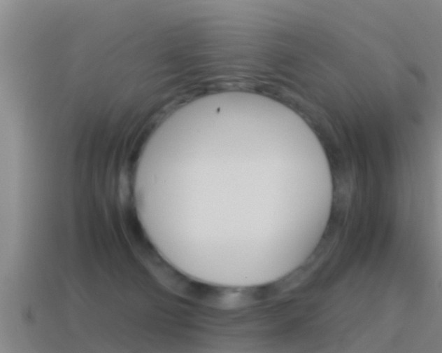 X0000114410130200910161040