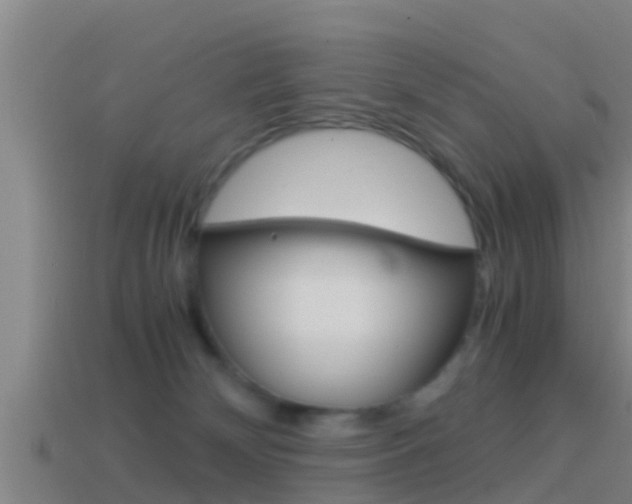 X0000114410132200910161040