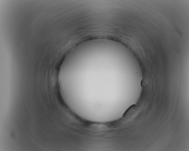 X0000114410133200910161040