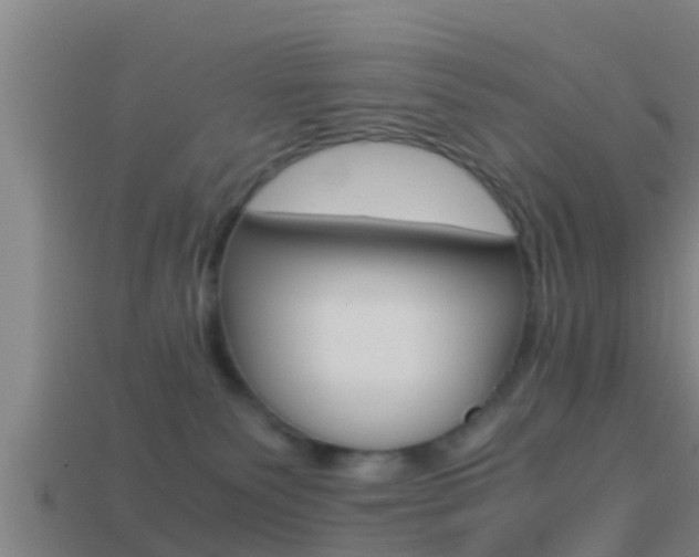 X0000114410135200910161040