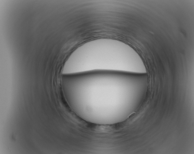 X0000114410137200910161040
