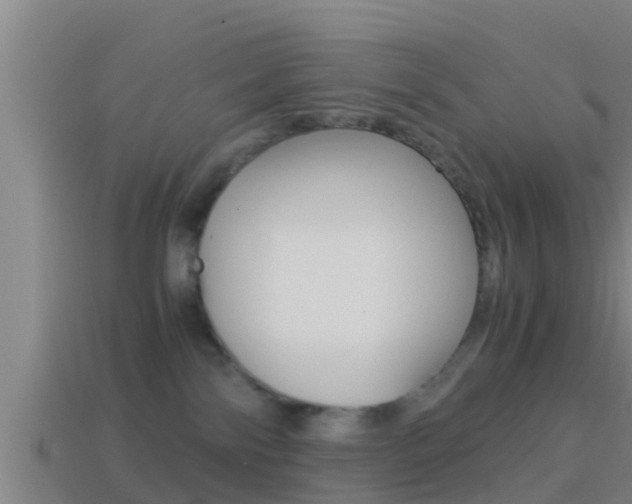 X0000114410138200910161040