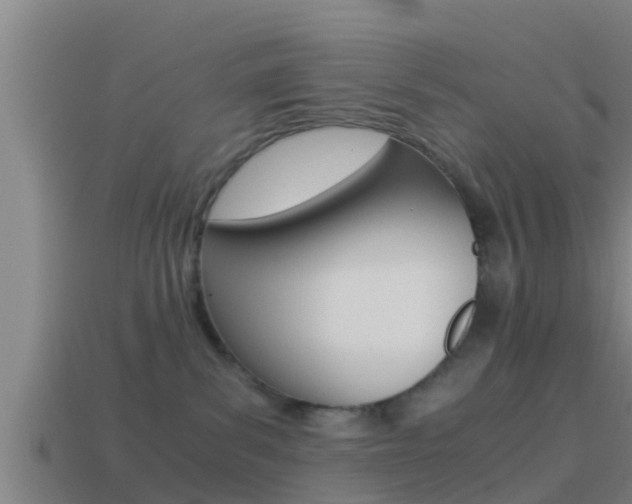 X0000114410139200910161040