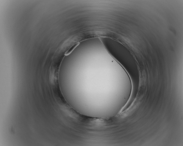 X0000114410140200910161040