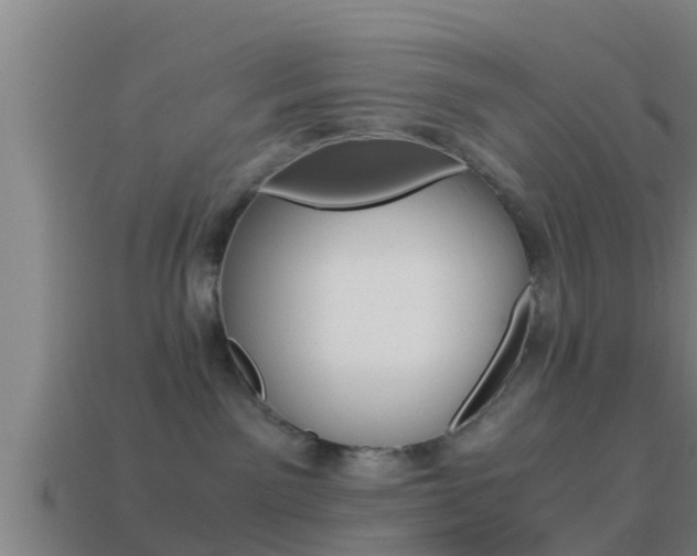 X0000114410141200910161040
