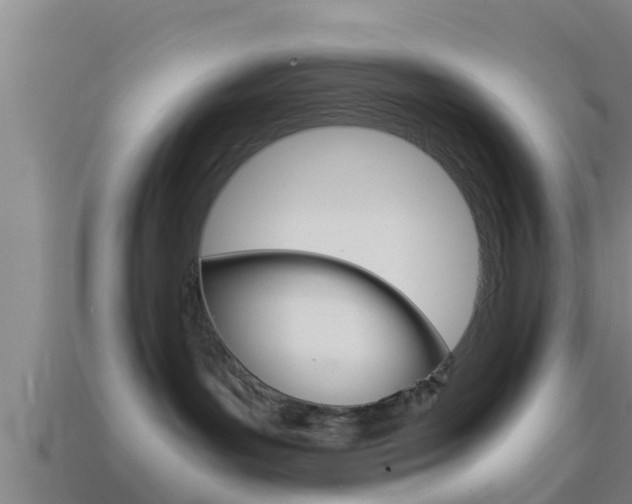 X0000114410143200910161040