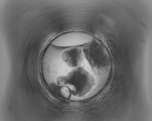 X0000114410145200910161039