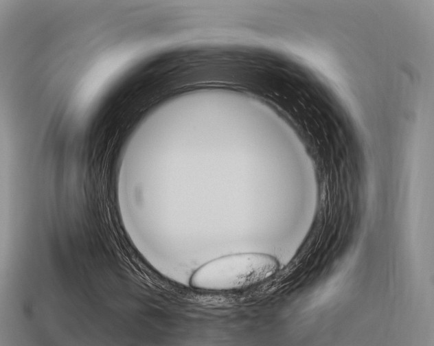 X0000114410146200910161039
