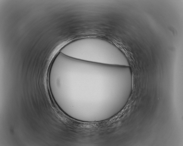 X0000114410147200910161039
