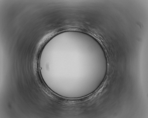 X0000114410149200910161039